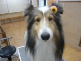 写真タイトル